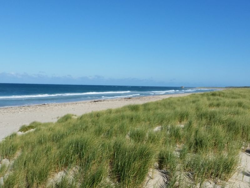 9 Mettams Link, Two Rocks WA 6037