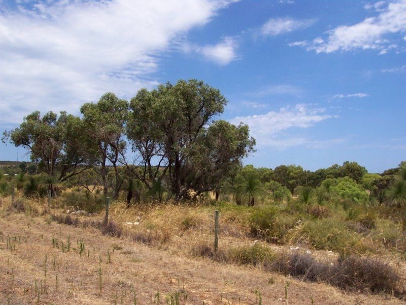 Lot 69 Seaflower Way, Wilbinga WA 6041