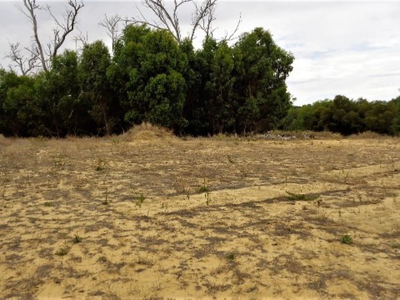 Lot 96 Cinnamon Meander, Two Rocks WA 6037