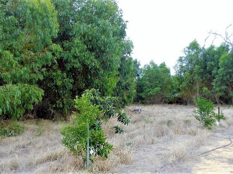 Lot 96 Cinnamon Meander, Two Rocks WA 6037