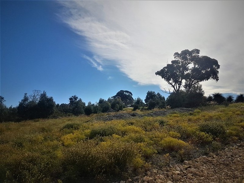 2 Nutmeg Grove, Two Rocks WA 6037