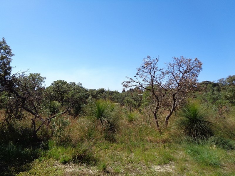 77 Birdwood Drive, Woodridge WA 6041