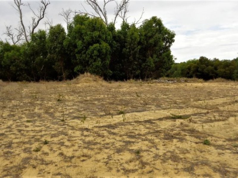 38 Cinnamon Meander, Two Rocks WA 6037