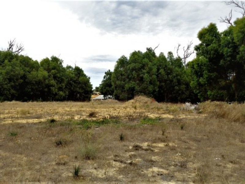 38 Cinnamon Meander, Two Rocks WA 6037