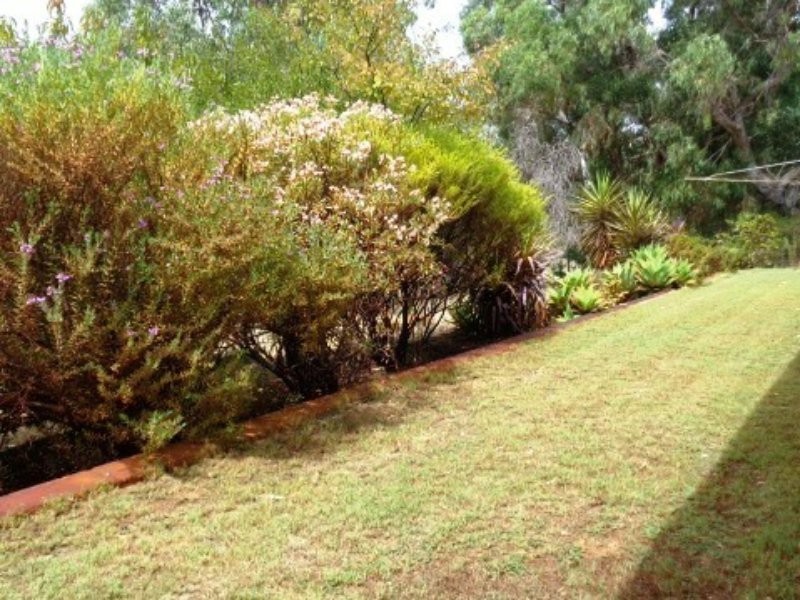 167 Harvest Circle, Two Rocks WA 6037