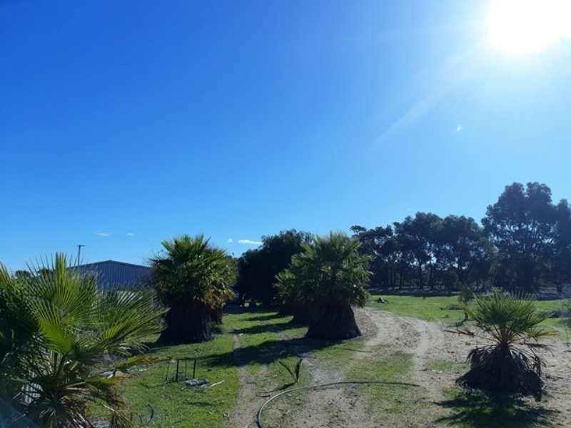 109 Paperbark Avenue, Gabbadah WA 6041