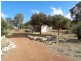 34 Pieter Place, Gabbadah WA 6041