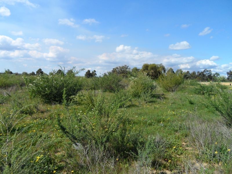 37 Caraway Loop, Two Rocks WA 6037