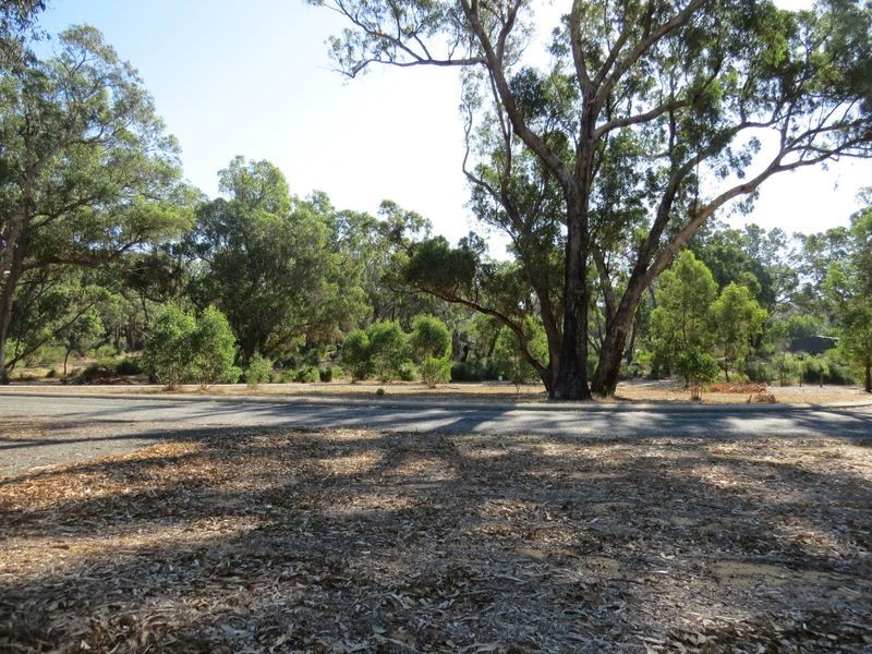 38 Timber Grove, Two Rocks WA 6037