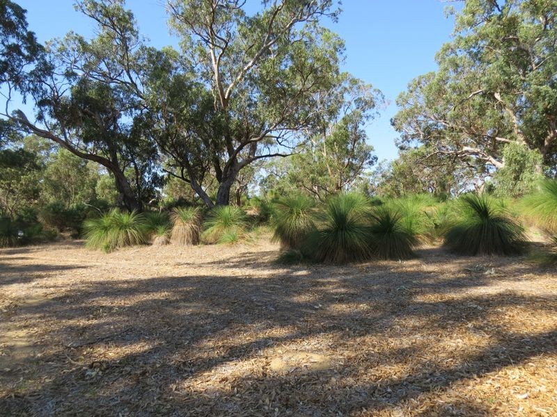 38 Timber Grove, Two Rocks WA 6037