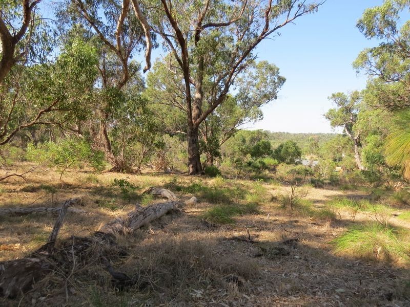 38 Timber Grove, Two Rocks WA 6037