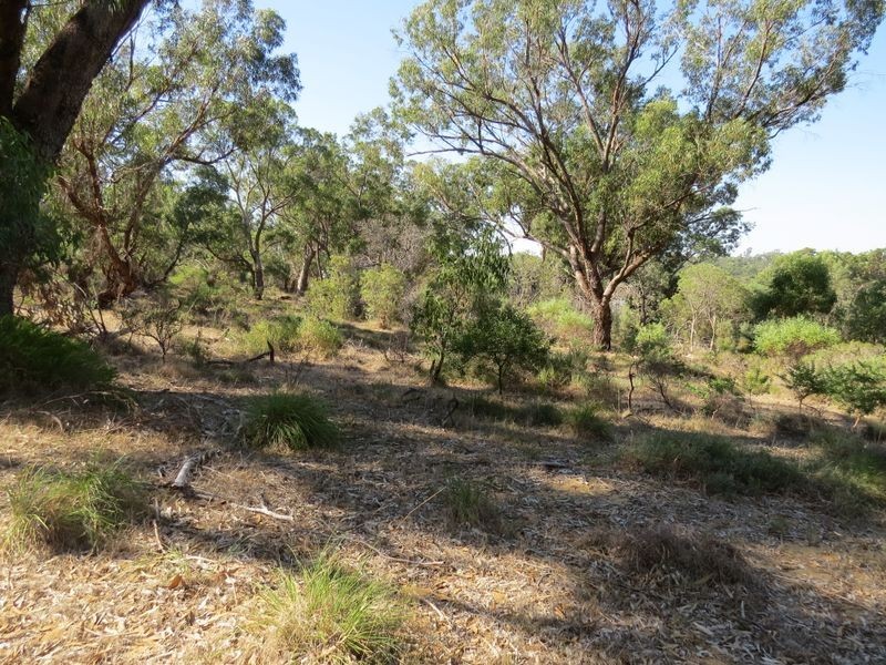 38 Timber Grove, Two Rocks WA 6037