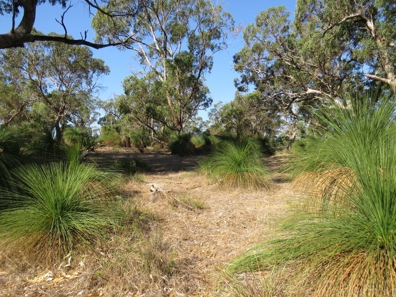 38 Timber Grove, Two Rocks WA 6037