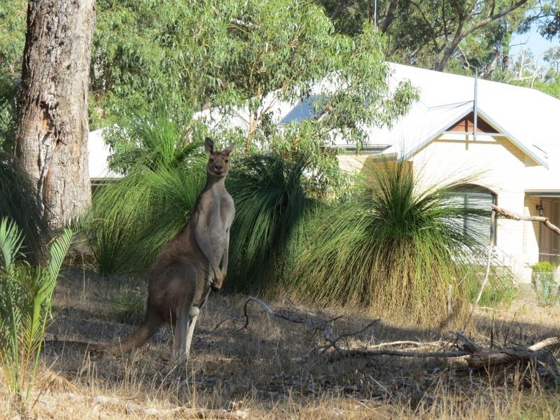 38 Timber Grove, Two Rocks WA 6037