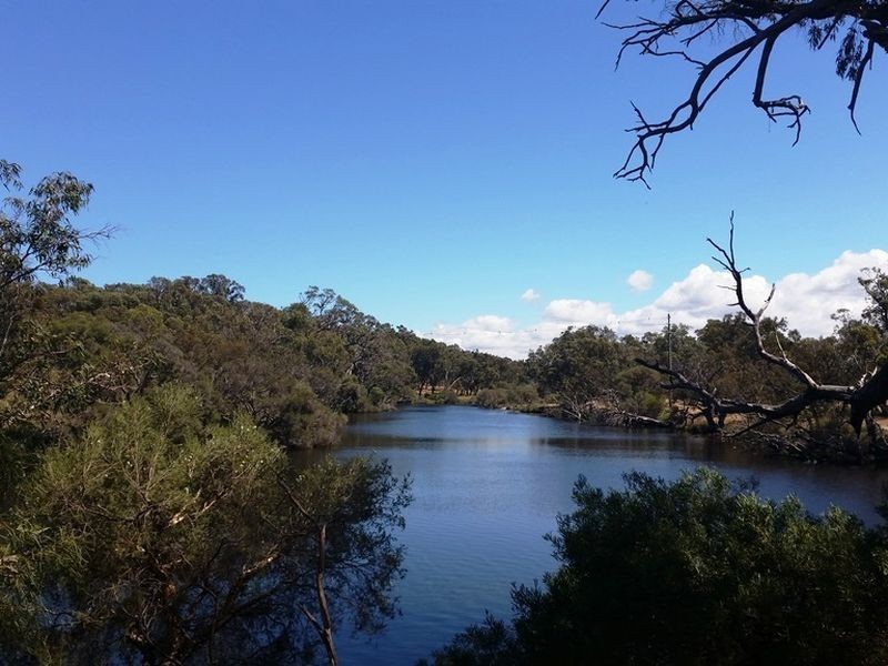 171 Woolly Bush Loop, Woodridge WA 6041