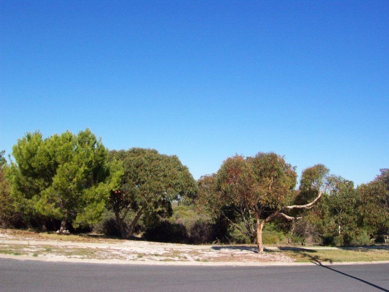 80 Cassilda Way, Two Rocks WA 6037