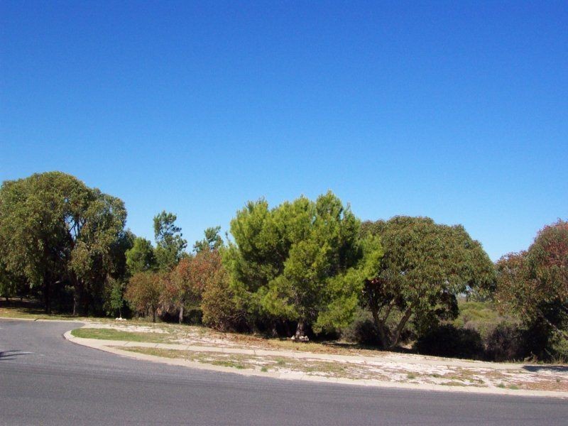 82 Cassilda Way, Two Rocks WA 6037
