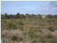 Lot 73 Seaflower Way, Gabbadah WA 6041