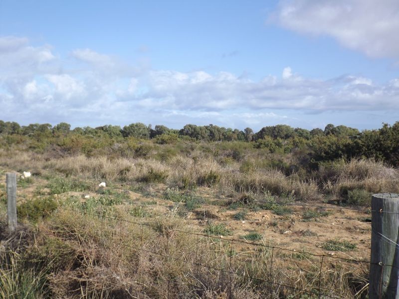Lot 73 Seaflower Way, Gabbadah WA 6041