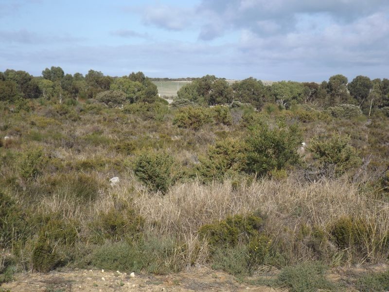 Lot 73 Seaflower Way, Gabbadah WA 6041