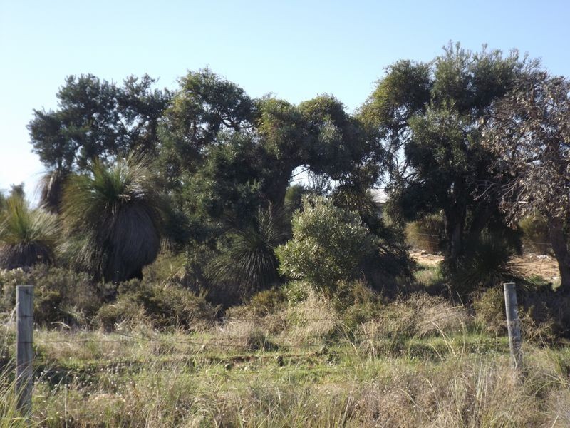 Lot 172 Heffron Way, Wilbinga WA 6041