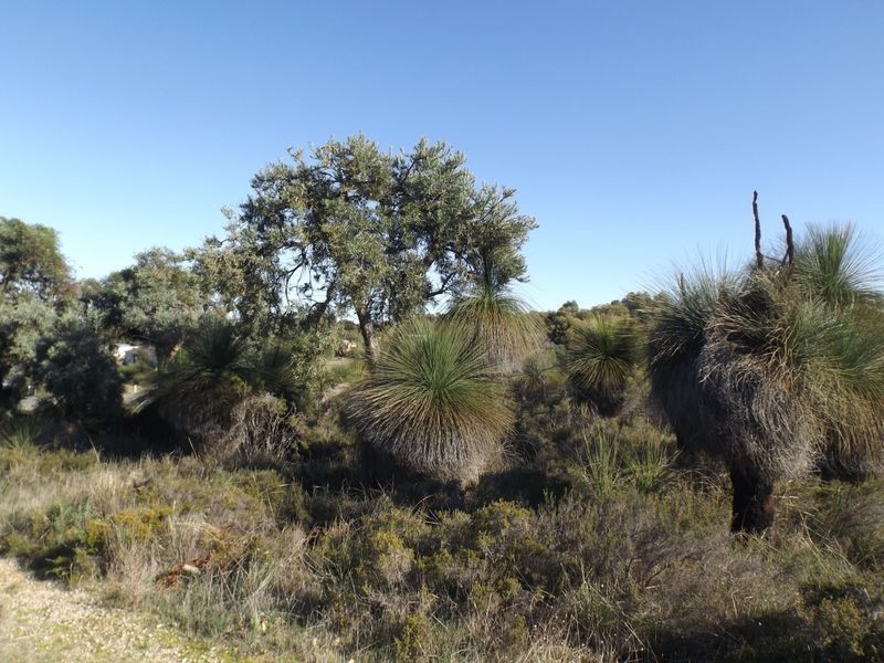 Lot 172 Heffron Way, Wilbinga WA 6041