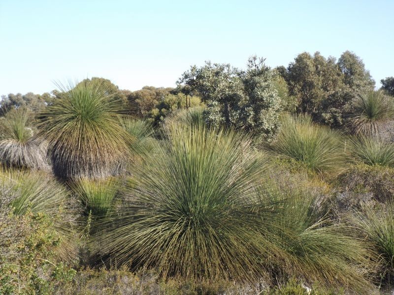 Lot 172 Heffron Way, Wilbinga WA 6041