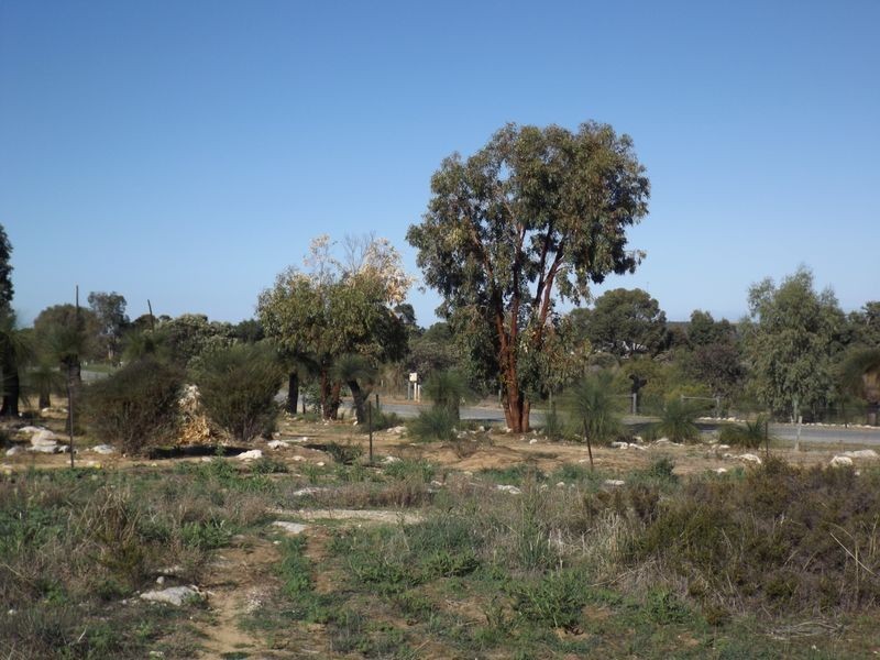 Lot 172 Heffron Way, Wilbinga WA 6041