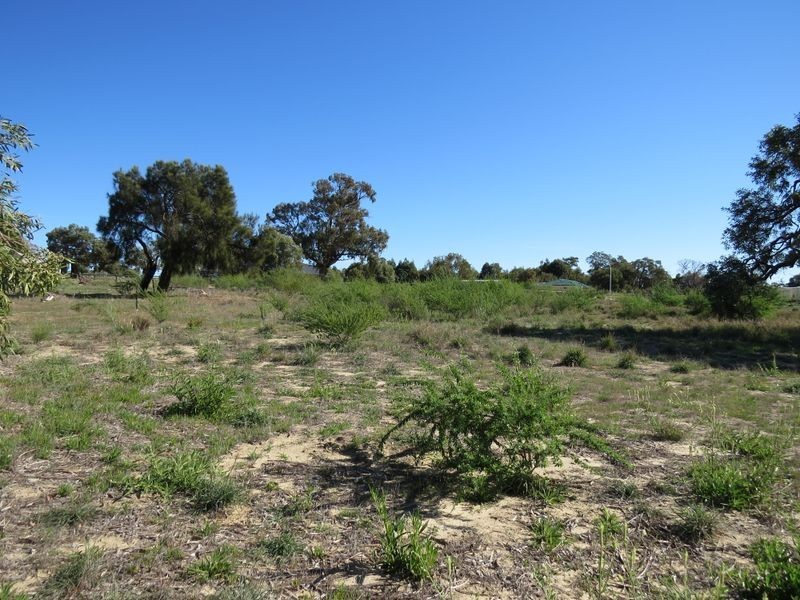 17 Caraway Loop, Two Rocks WA 6037