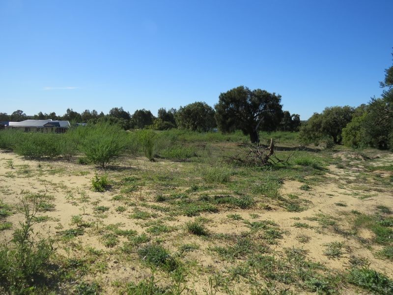 17 Caraway Loop, Two Rocks WA 6037