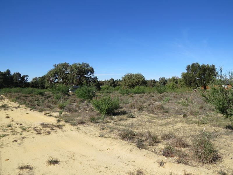 17 Caraway Loop, Two Rocks WA 6037