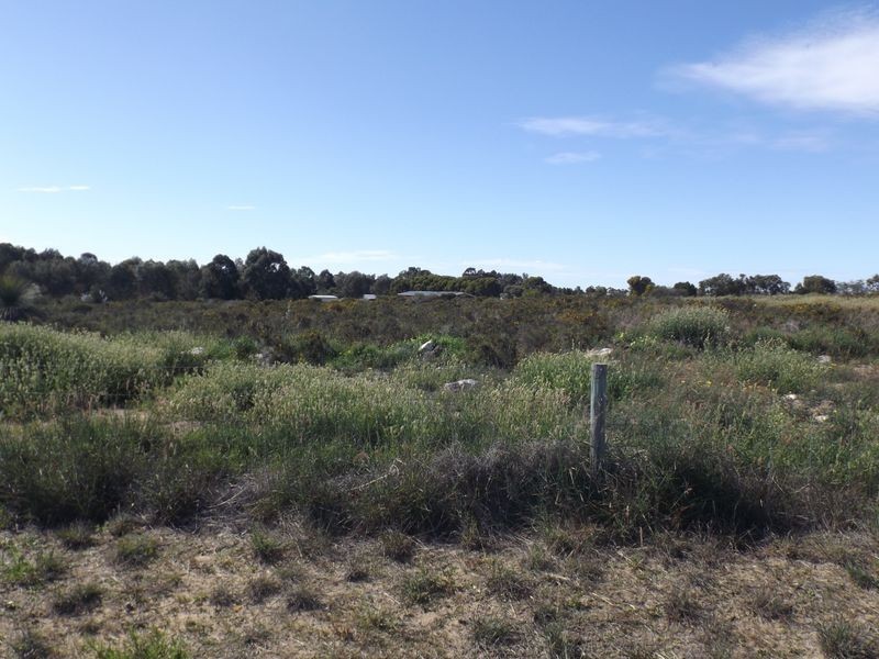 124 Seaflower Way, Wilbinga WA 6041