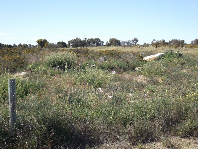 124 Seaflower Way, Wilbinga WA 6041