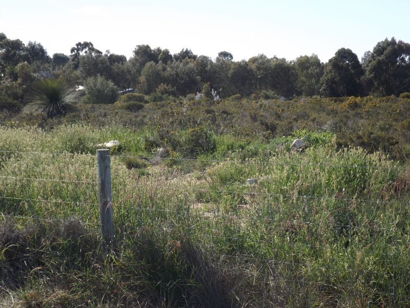 124 Seaflower Way, Wilbinga WA 6041