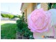 11B Caley Place, Two Rocks WA 6037