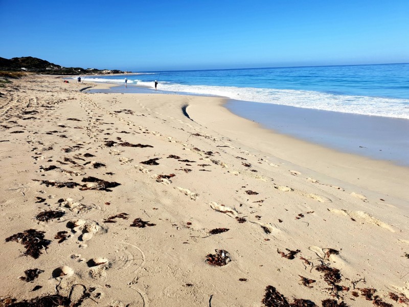 24 Blaxland Avenue, Two Rocks WA 6037