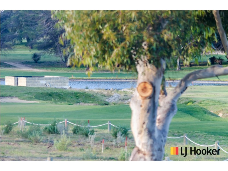 19 Russley Grove, Yanchep WA 6035