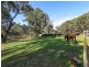 54 Bushwood Follow, Two Rocks WA 6037
