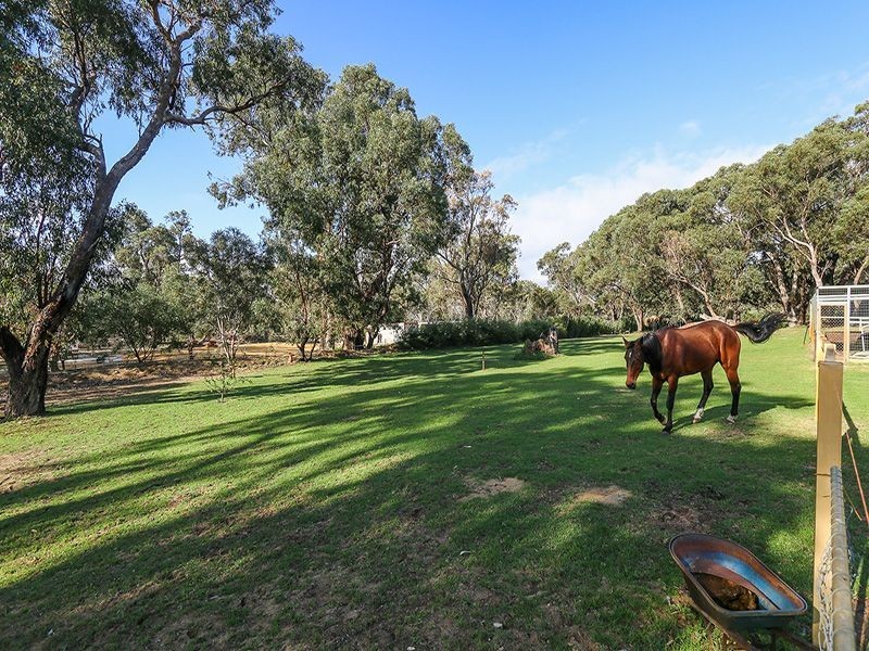 54 Bushwood Follow, Two Rocks WA 6037
