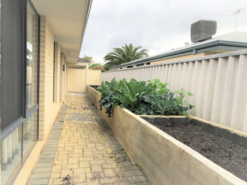 23 Frond Circuit, Banksia Grove WA 6031