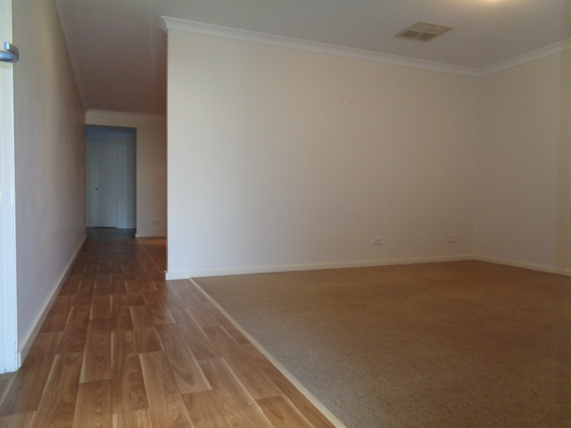 17 Pendleton Crescent, Butler WA 6036