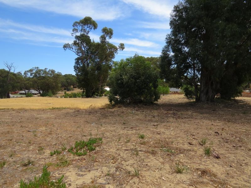 19 Cinnamon Meander, Two Rocks WA 6037