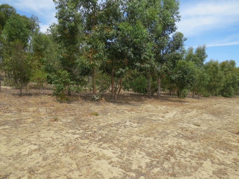 19 Cinnamon Meander, Two Rocks WA 6037