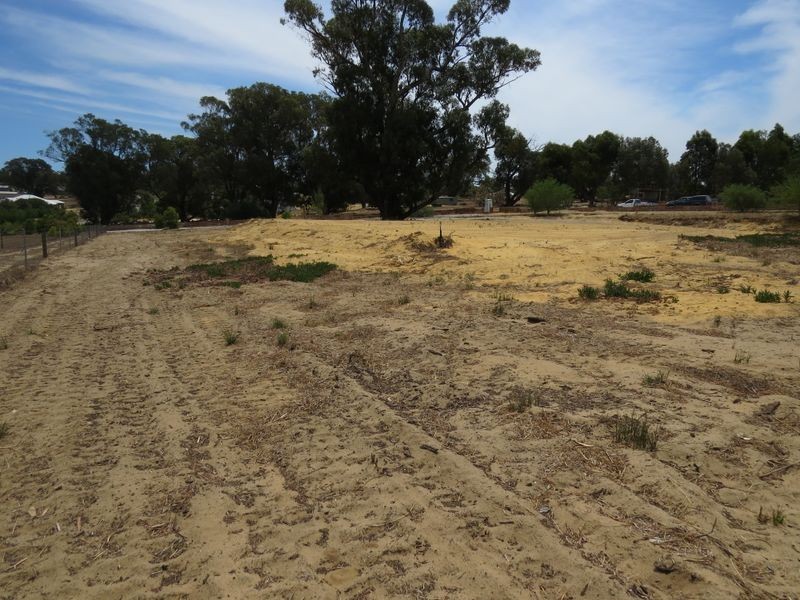 19 Cinnamon Meander, Two Rocks WA 6037