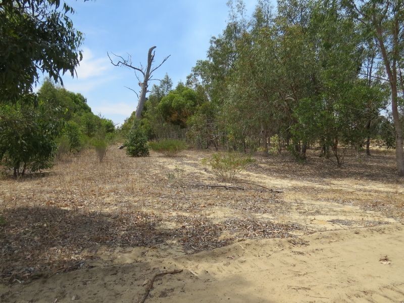 19 Cinnamon Meander, Two Rocks WA 6037