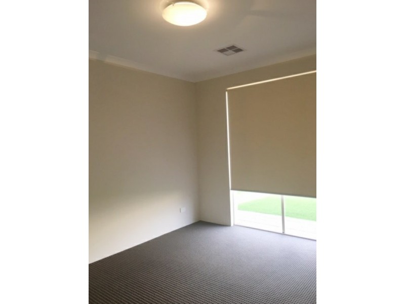 8 Gemfish Street, Two Rocks WA 6037