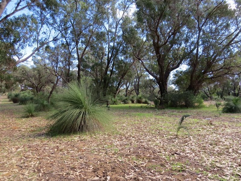 35 Timber Grove, Two Rocks WA 6037