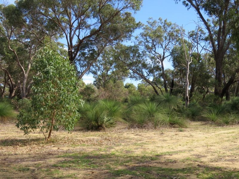 35 Timber Grove, Two Rocks WA 6037