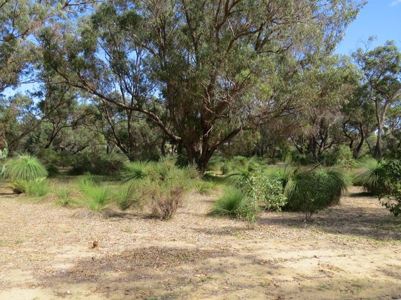 35 Timber Grove, Two Rocks WA 6037