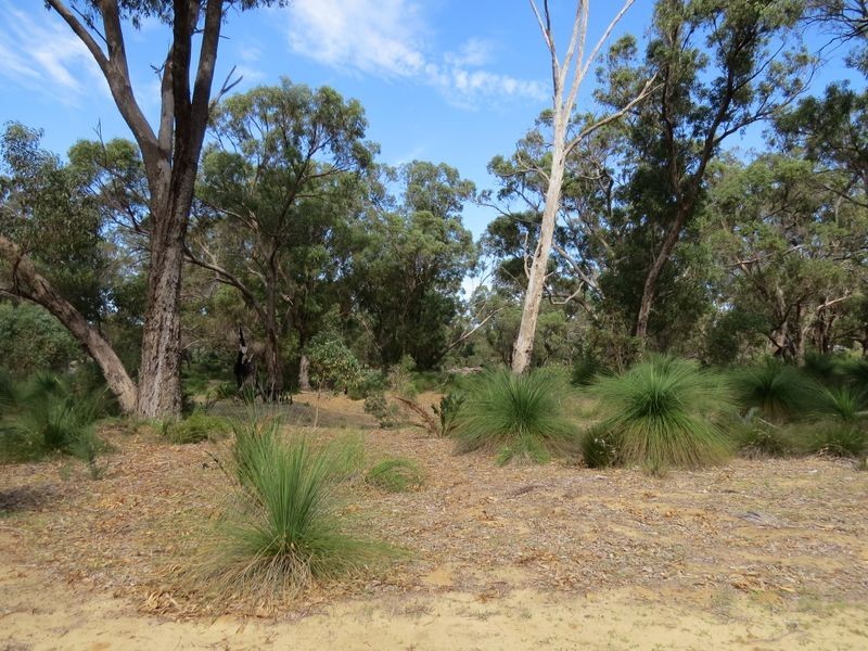 35 Timber Grove, Two Rocks WA 6037